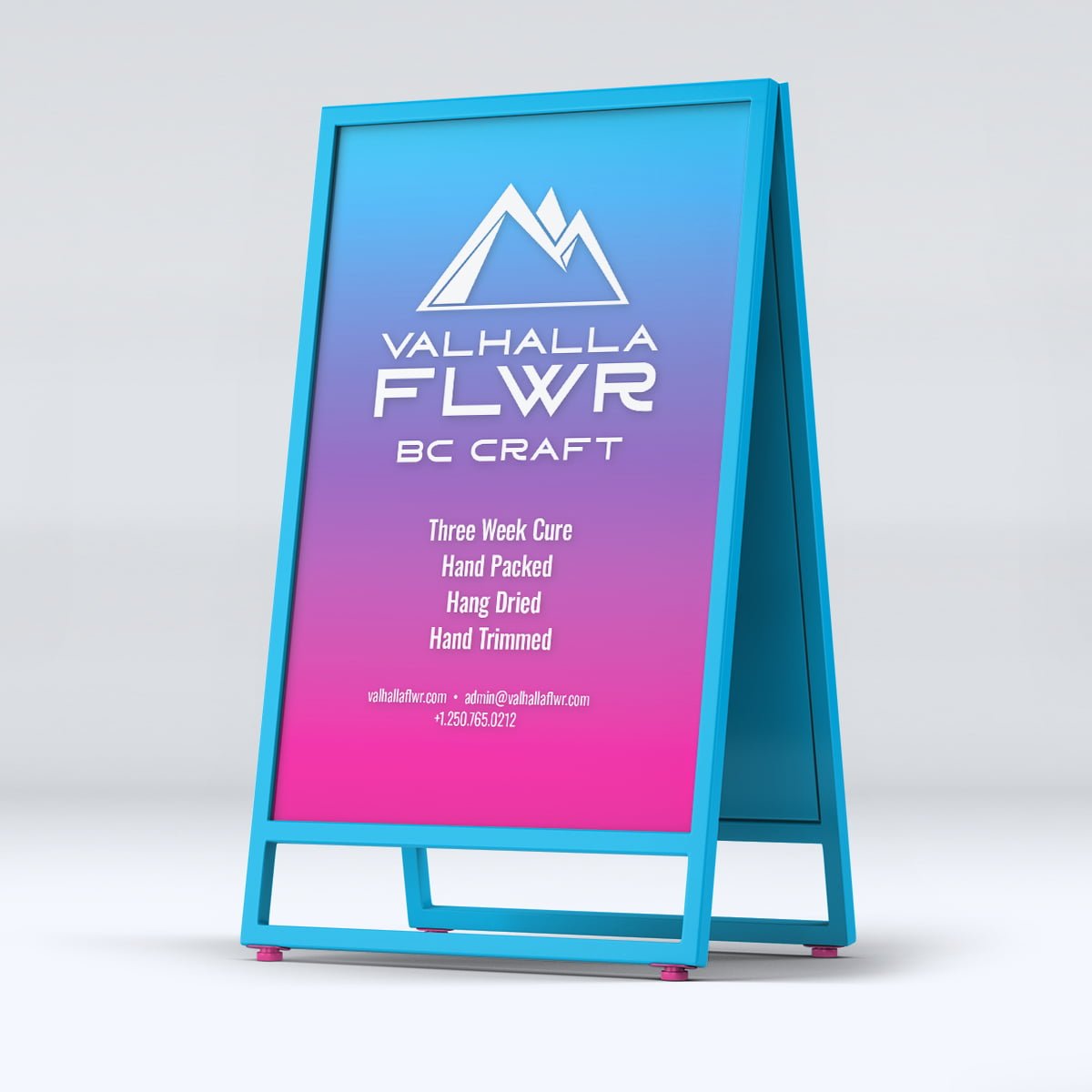 VF 03 Promotional Display Stand Mock-Up