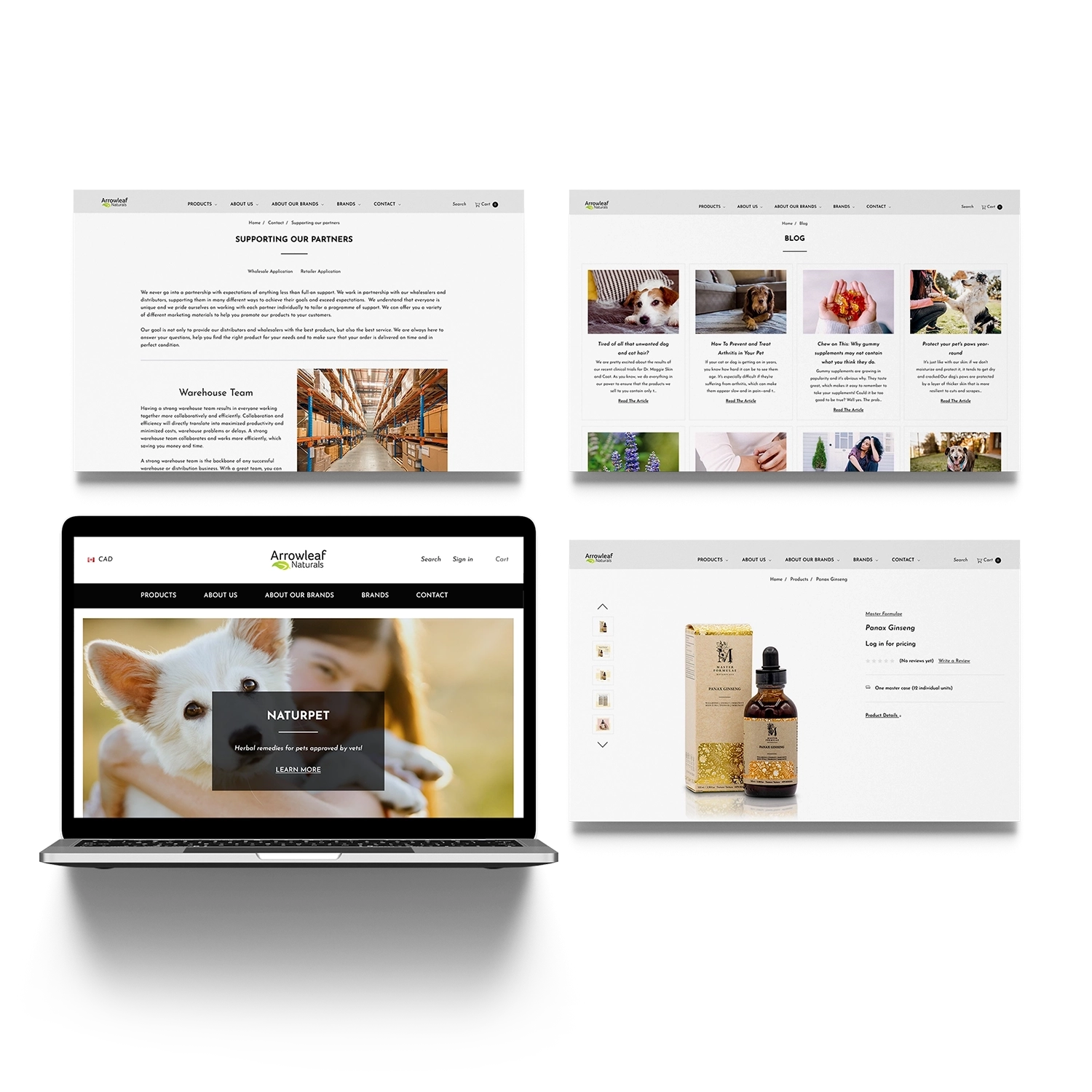 ALN website Laptop Mockup 0004 – sq transparent CX2