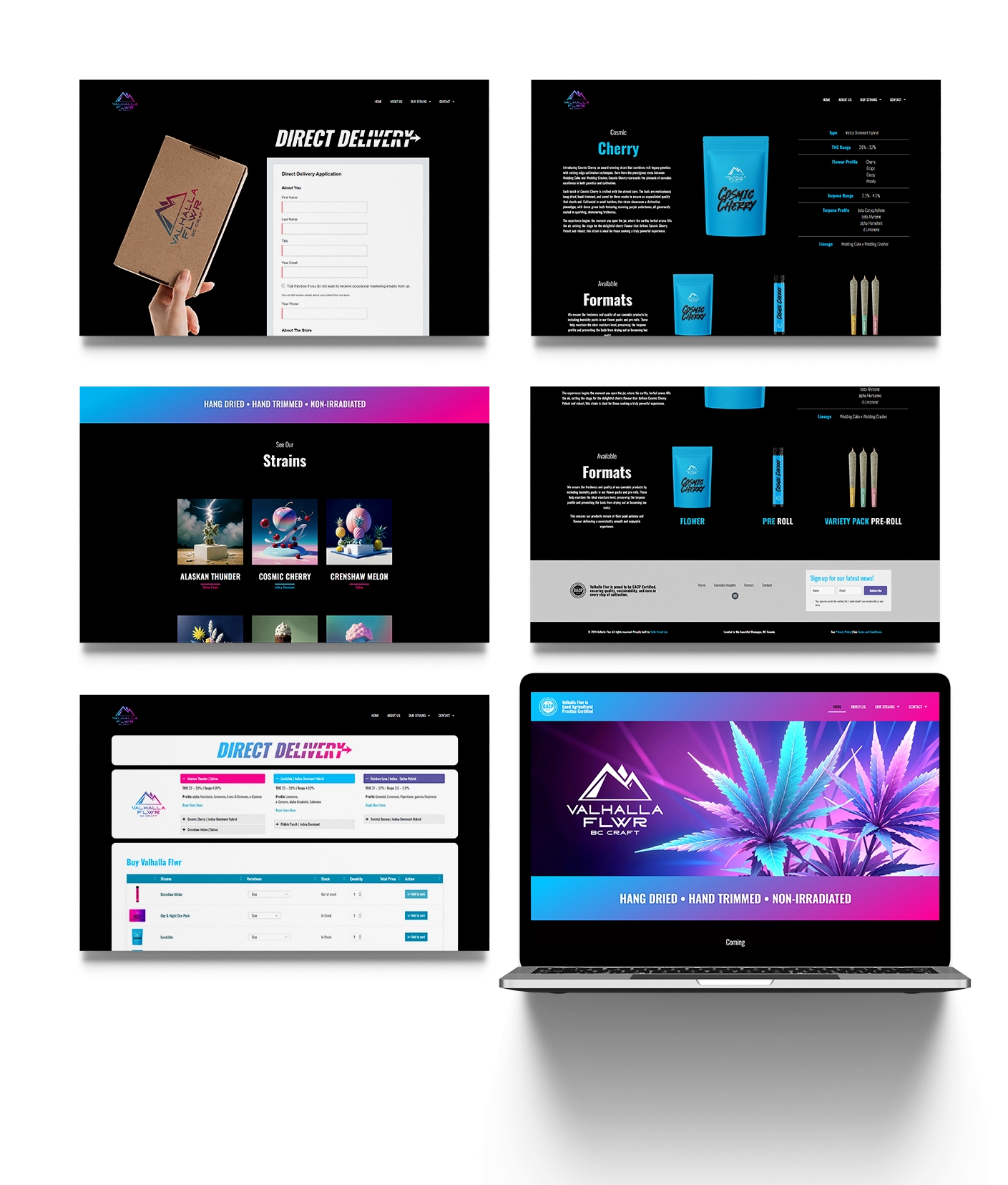 VF – website Laptop Mockup 0004 – CX2