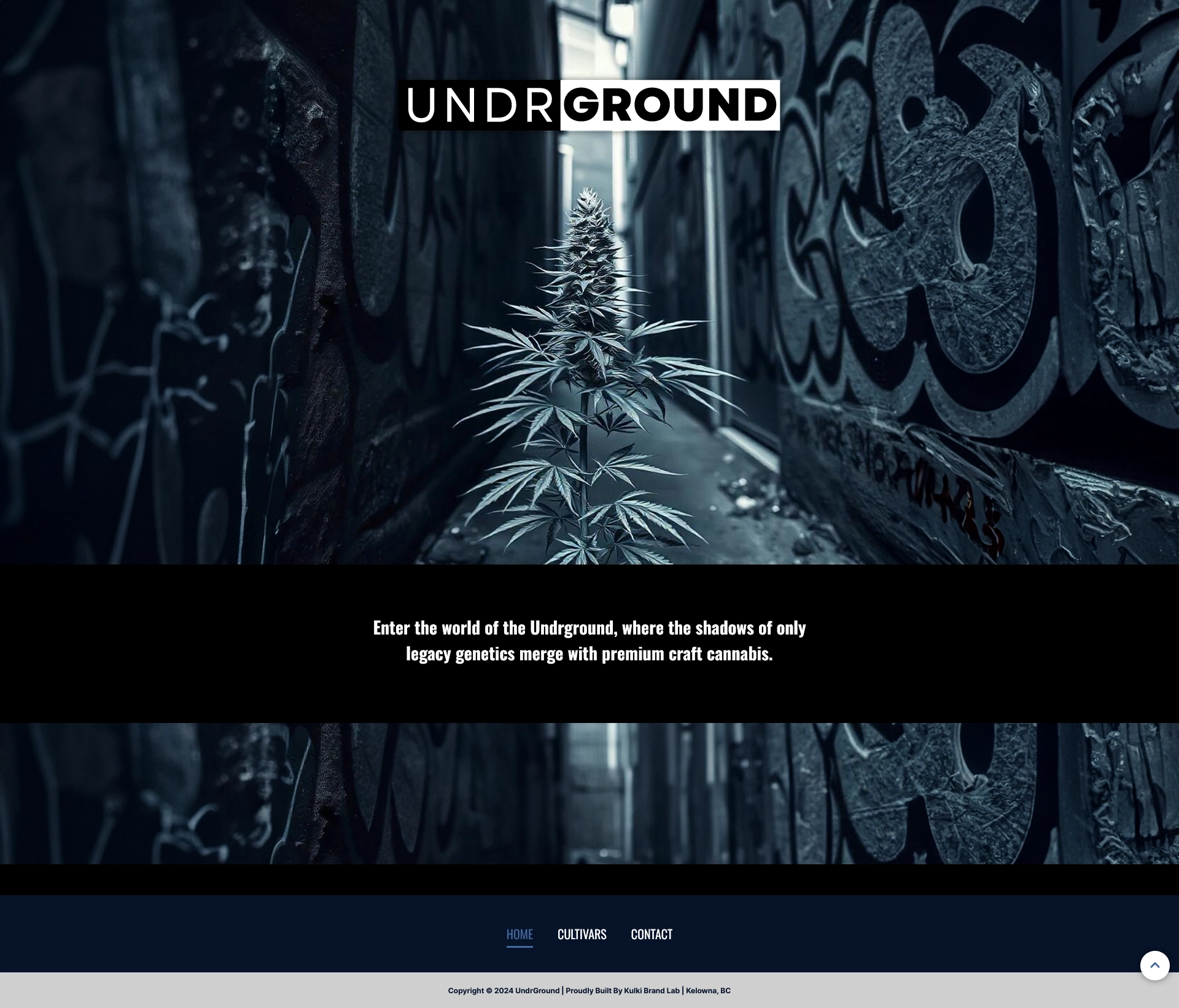 FireShot Webpage Capture 038 – ‘UndrGround’ – undrground.ca