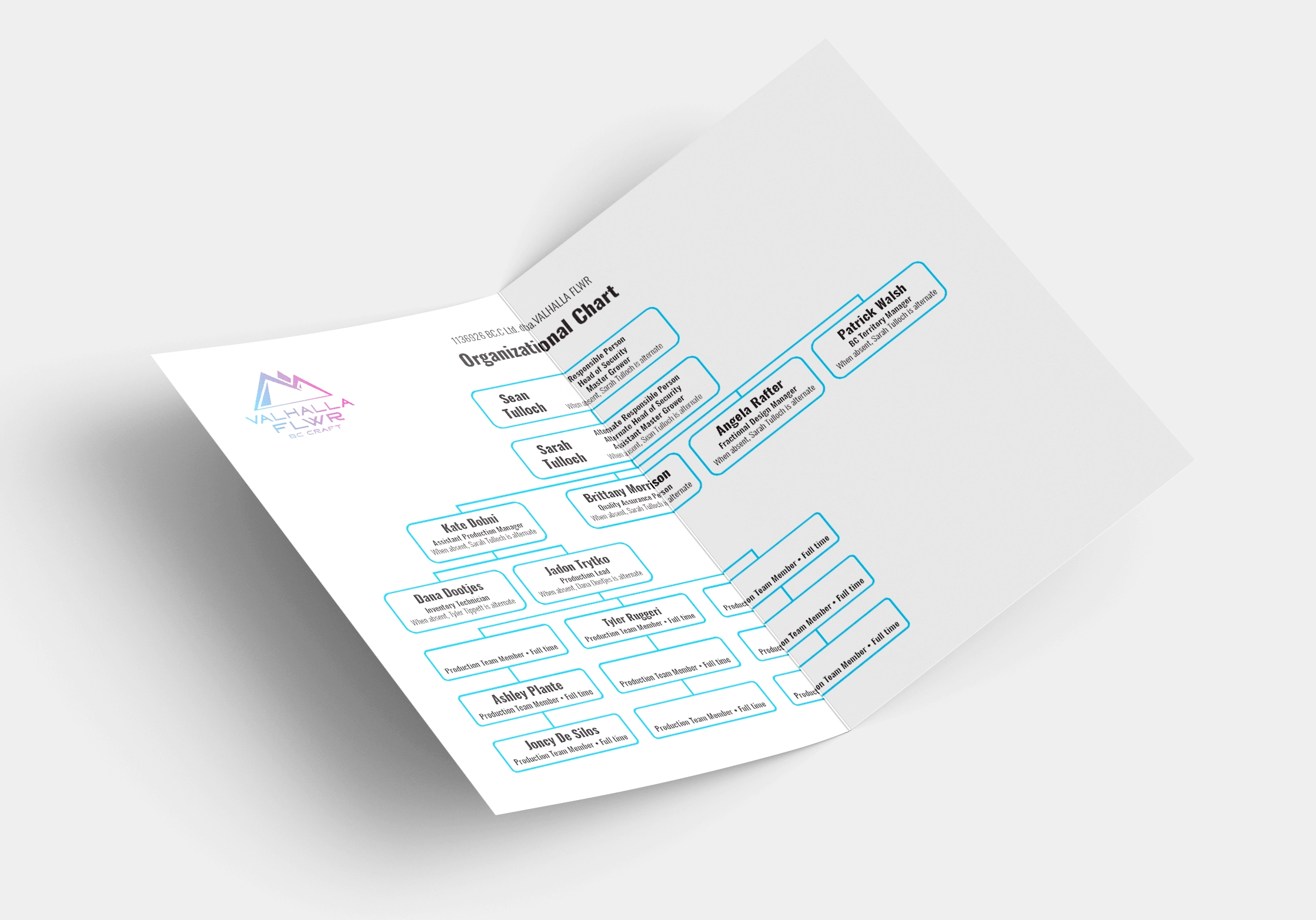 VF org chart